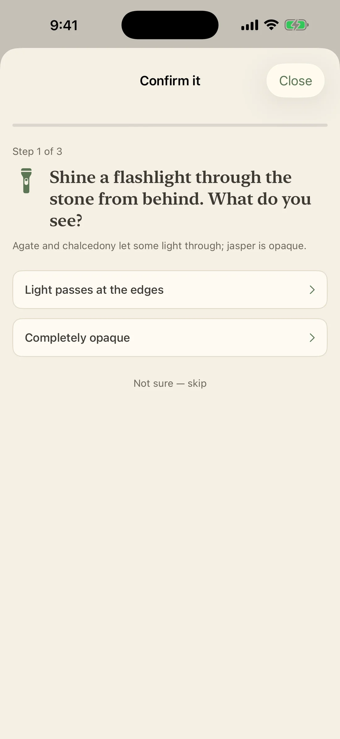RockLens home test asking whether light passes through the agate, with choices for the observation