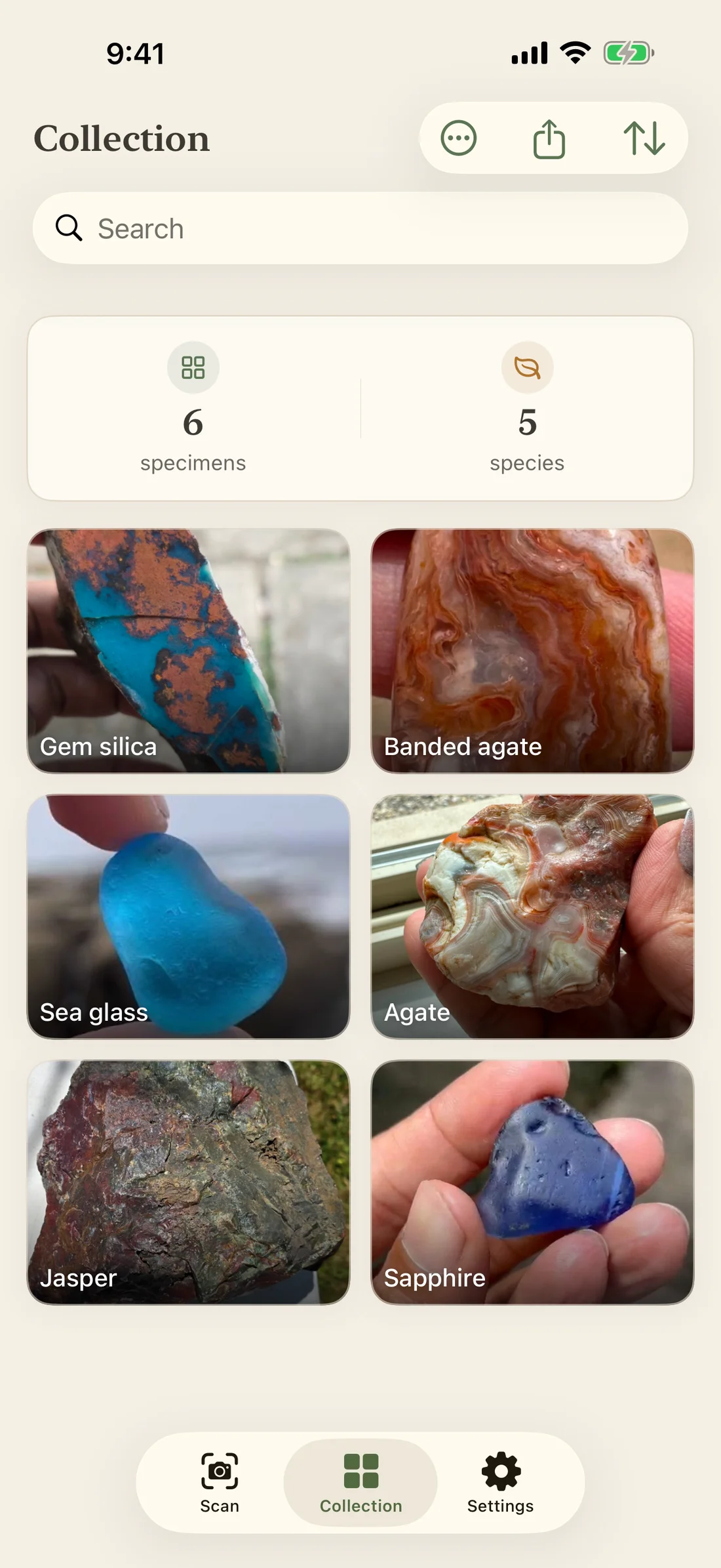 RockLens collection showing six saved specimens, including banded agate, sea glass, jasper and sapphire